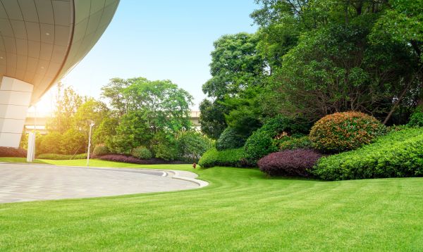 Cost of Commercial Shrub Trimming in Newport Beach