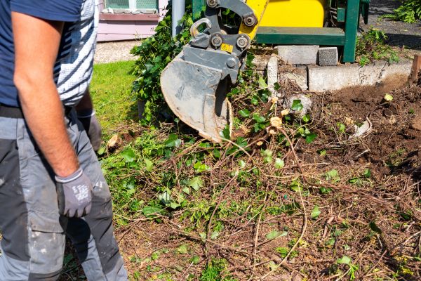 Cost of Hedge Removal Service in Newport Beach