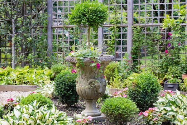 Cost of Topiary Pruning in Newport Beach