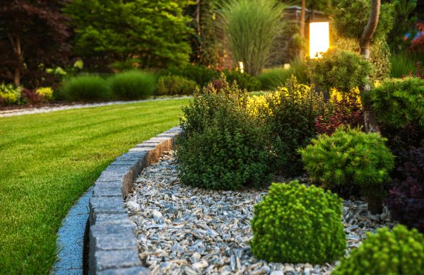 Cost of Bush Relocation in Newport Beach